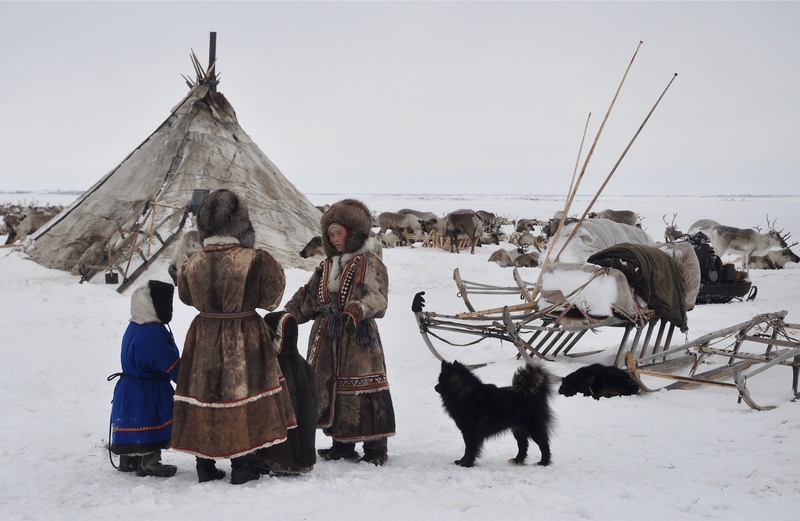 Nenet Chums