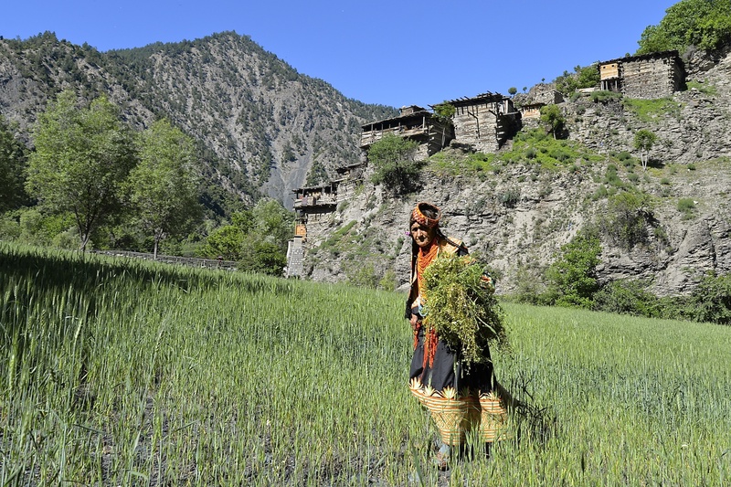 Kalash: Joshi Spring Festival