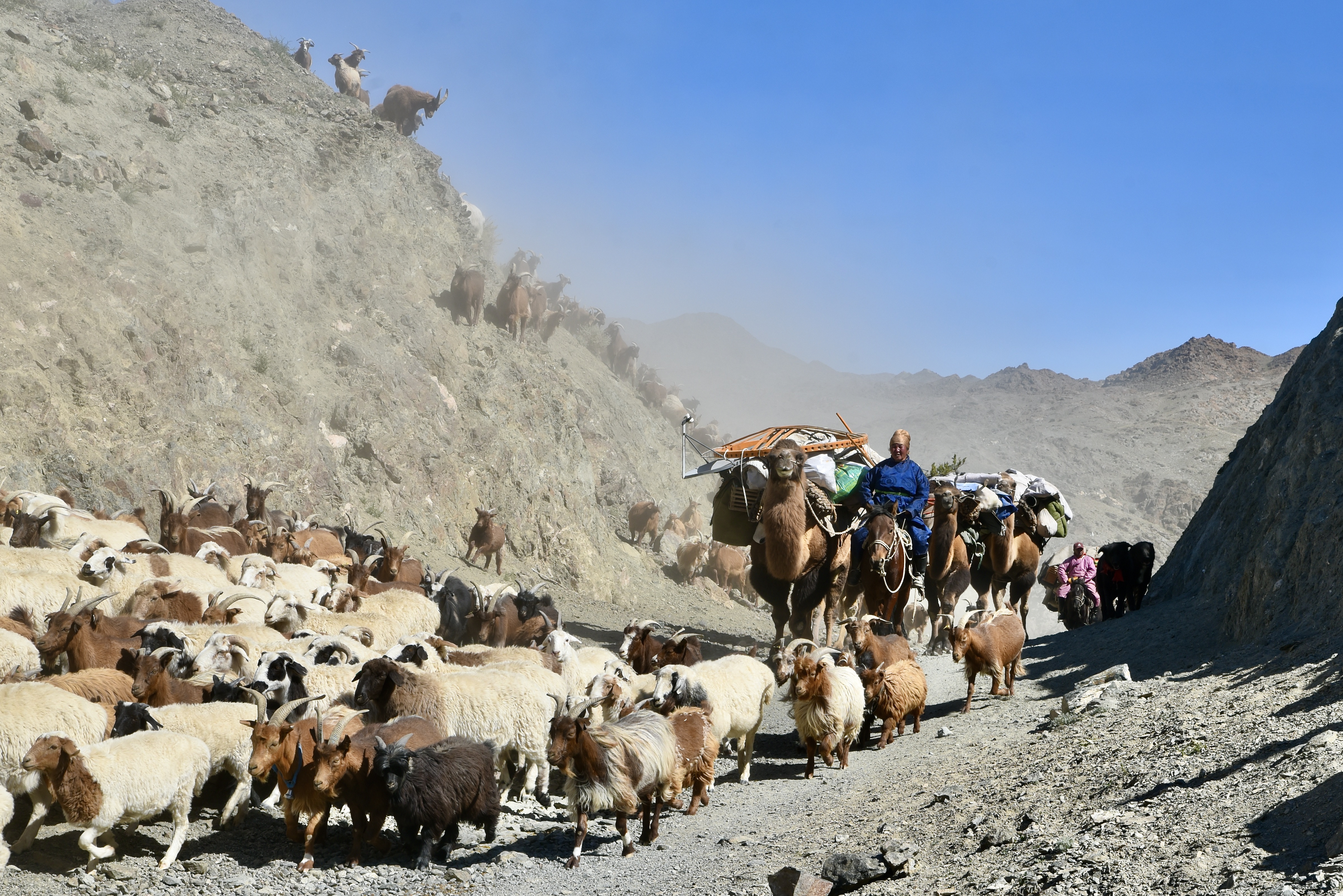 Mongolian Migration