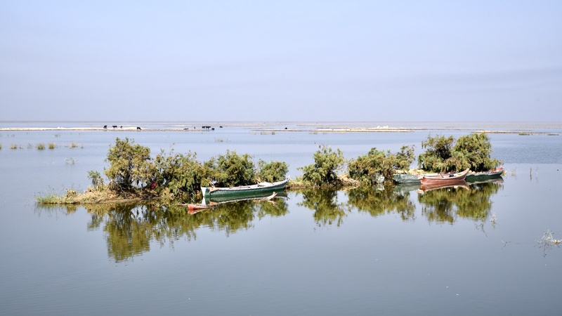 Iraqi Marshes