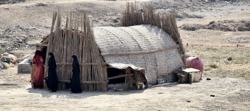 Iraqi Marshes