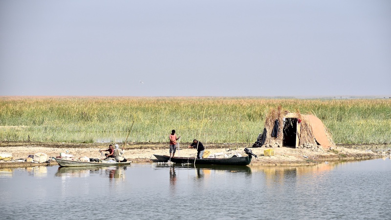 Iraqi Marshes
