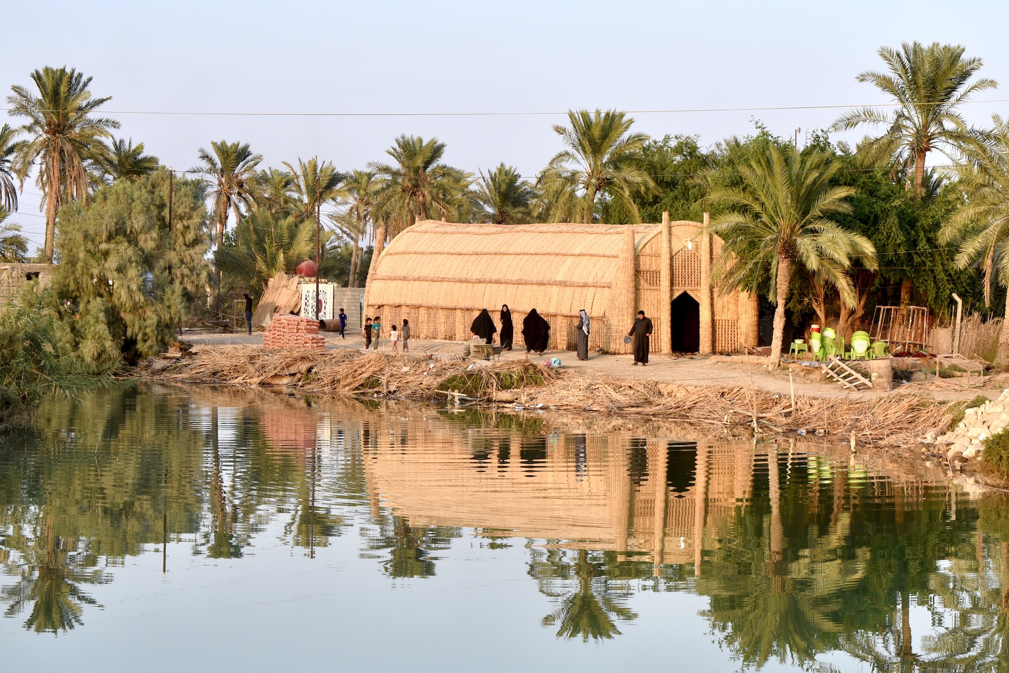 Iraqi Marshes