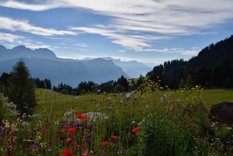 Swiss Landscapes