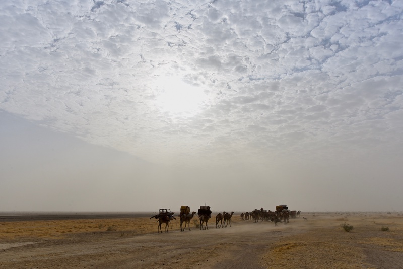 Chad: Migration of the Nomades Arabes