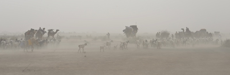 Chad: Migration of the Nomades Arabes
