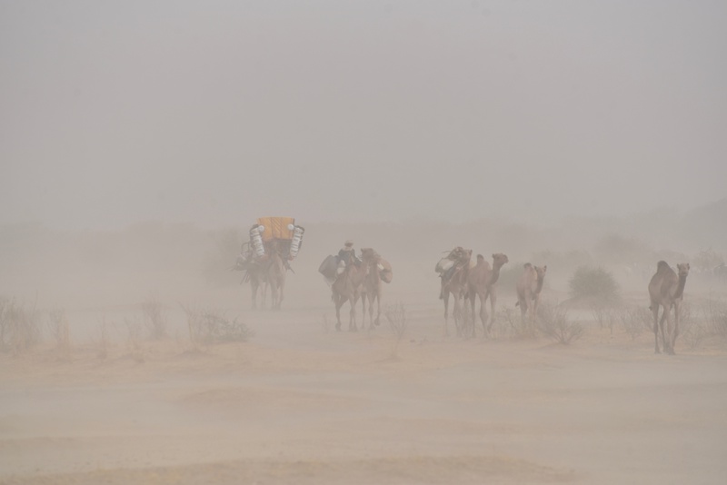 Chad: Migration of the Nomades Arabes