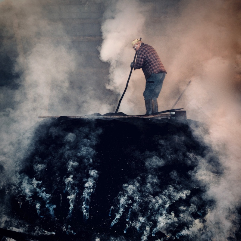 Charcoal Production