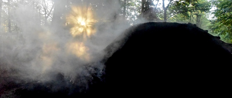 Charcoal Production