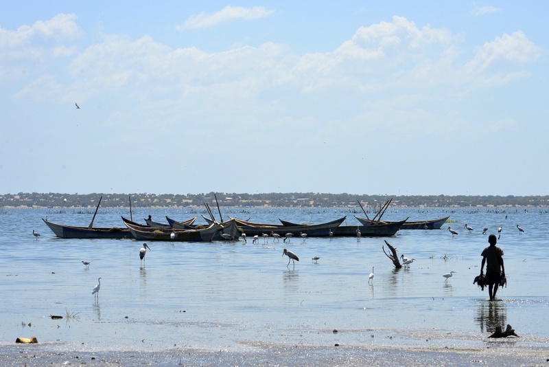 Lake Turkana