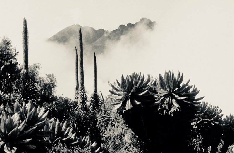 From Our Last Century's Archives 