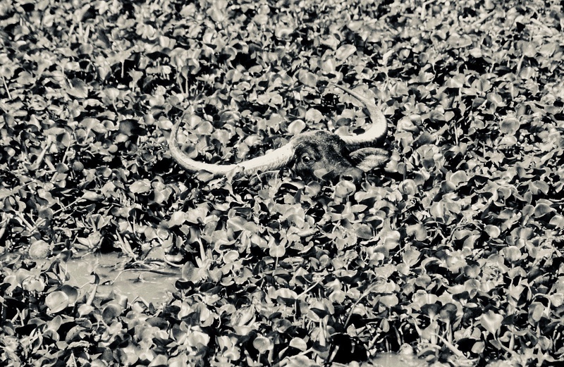 From Our Last Century's Archives 