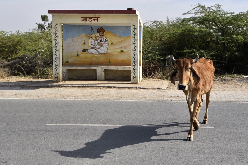 Bus Stops at Jodhpur Road