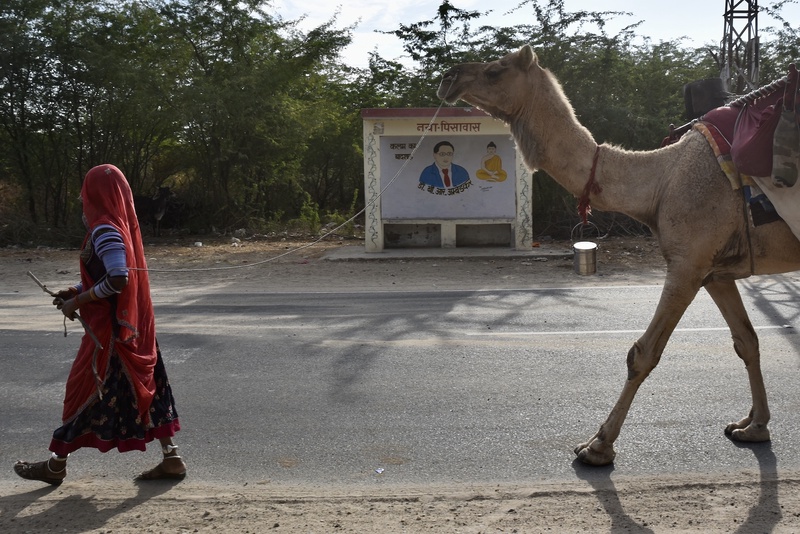 Bus Stops at Jodhpur Road