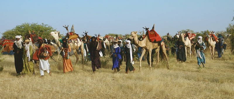 Gerewol of the Wodaabe