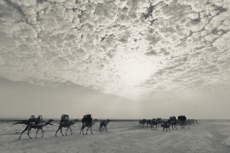 Nomades Arabes on the Move