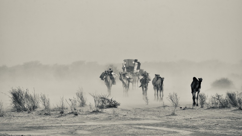 Nomades Arabes on the Move