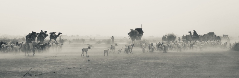 Nomades Arabes on the Move