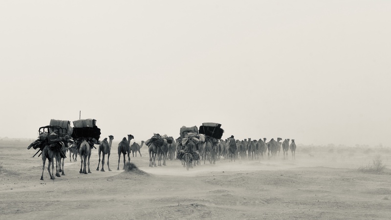 Nomades Arabes on the Move