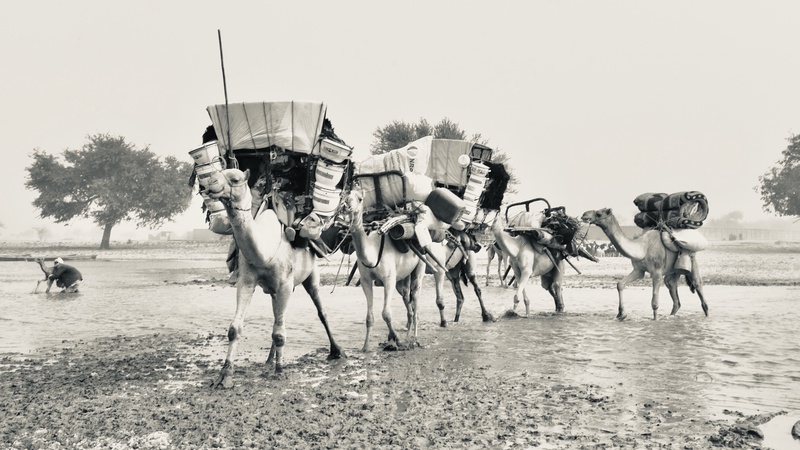 Nomades Arabes on the Move