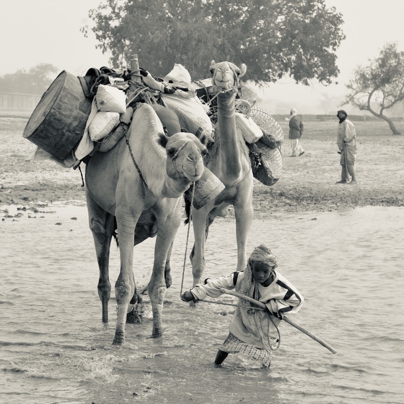 Nomades Arabes on the Move