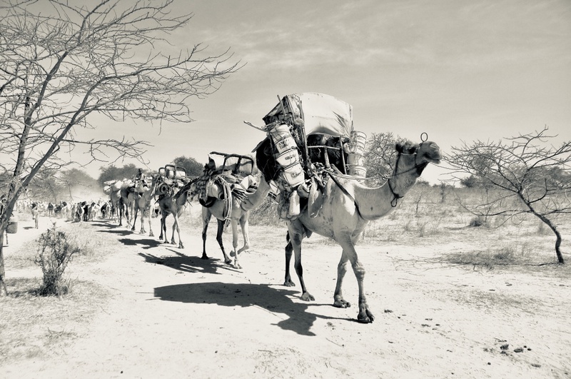 Nomades Arabes on the Move