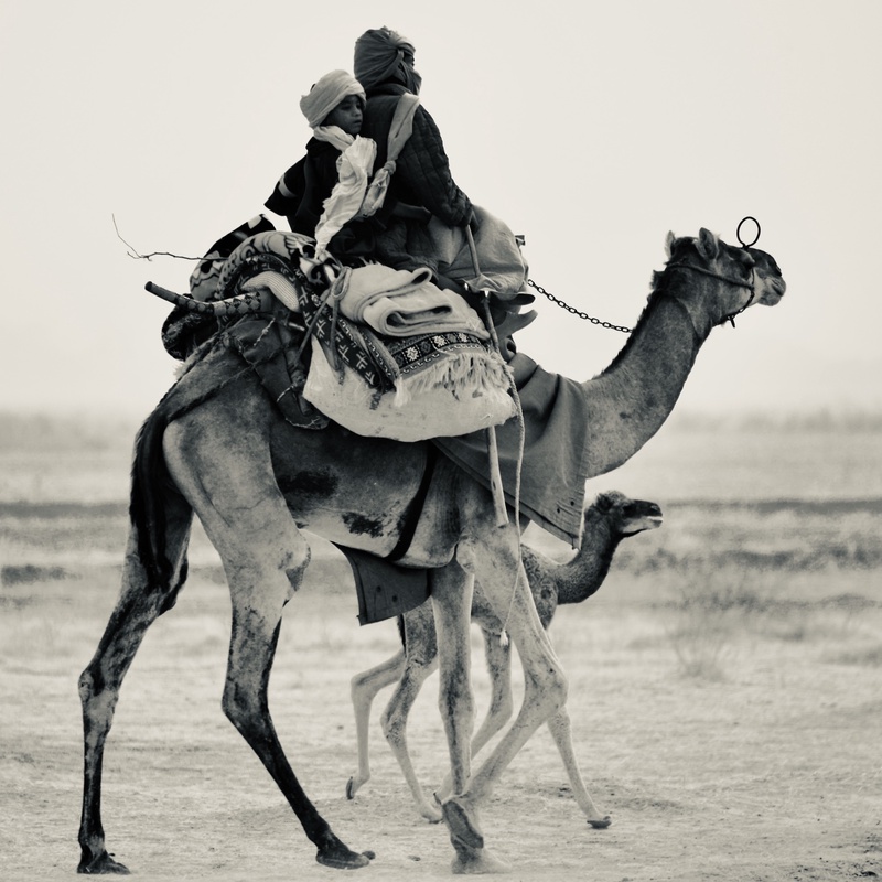 Nomades Arabes on the Move