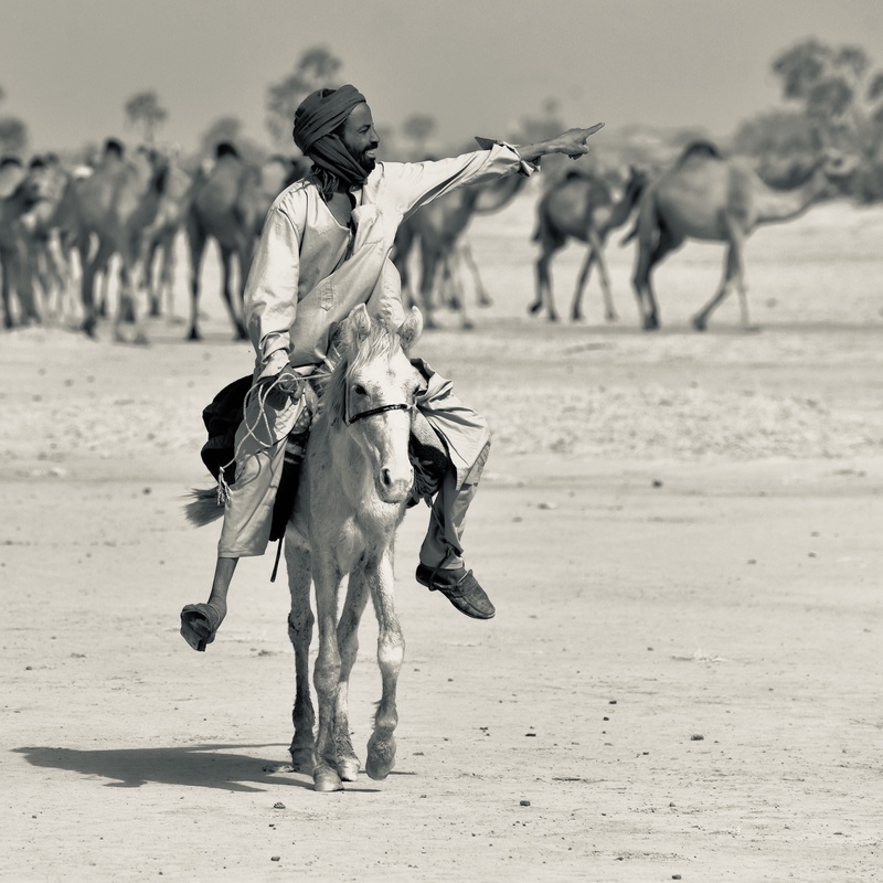 Nomades Arabes on the Move