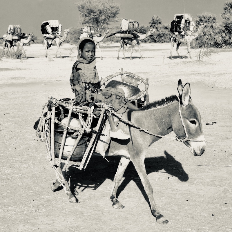 Nomades Arabes on the Move