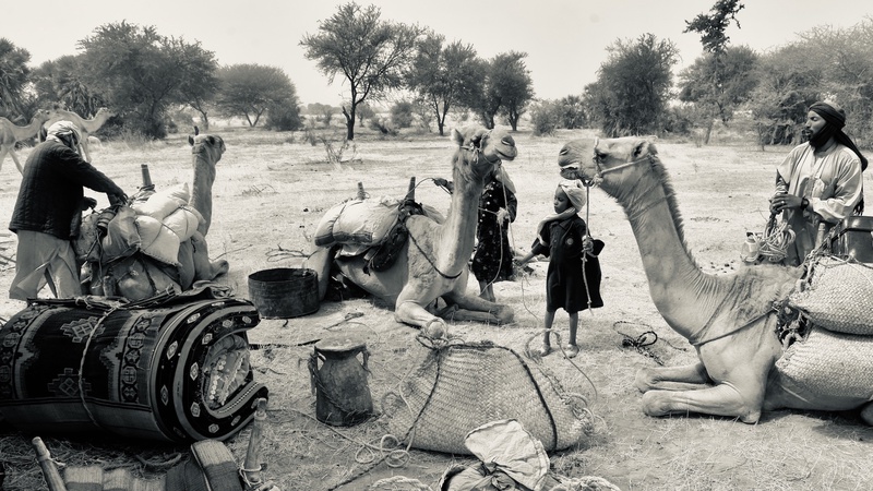 Nomades Arabes on the Move