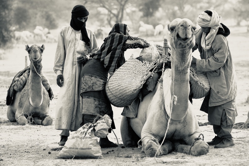 Nomades Arabes on the Move