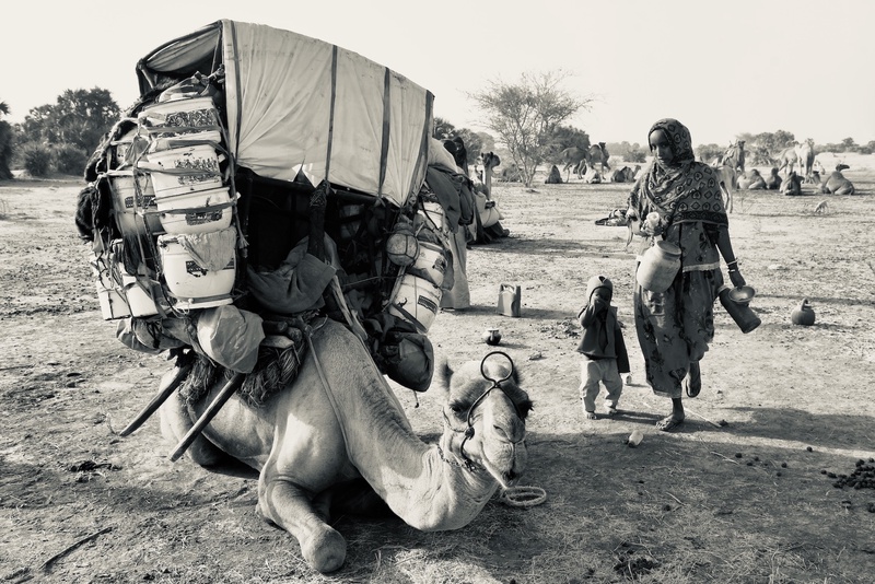 Nomades Arabes on the Move