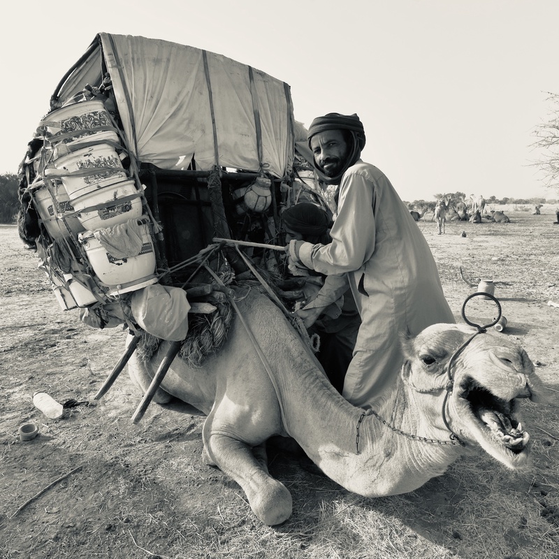 Nomades Arabes on the Move