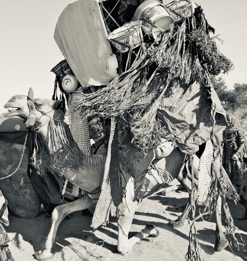 Nomades Arabes on the Move