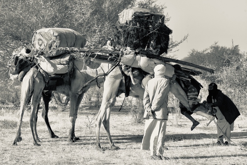 Nomades Arabes on the Move
