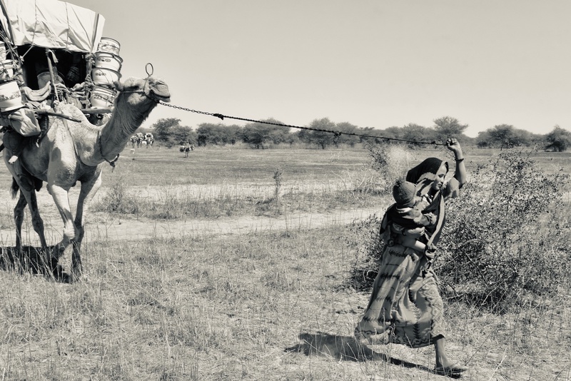 Nomades Arabes on the Move