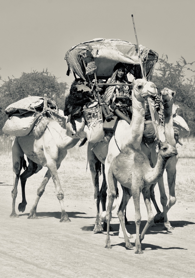 Nomades Arabes on the Move