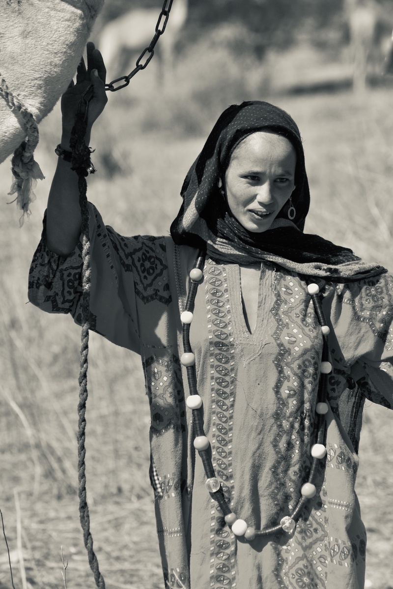 Nomades Arabes on the Move