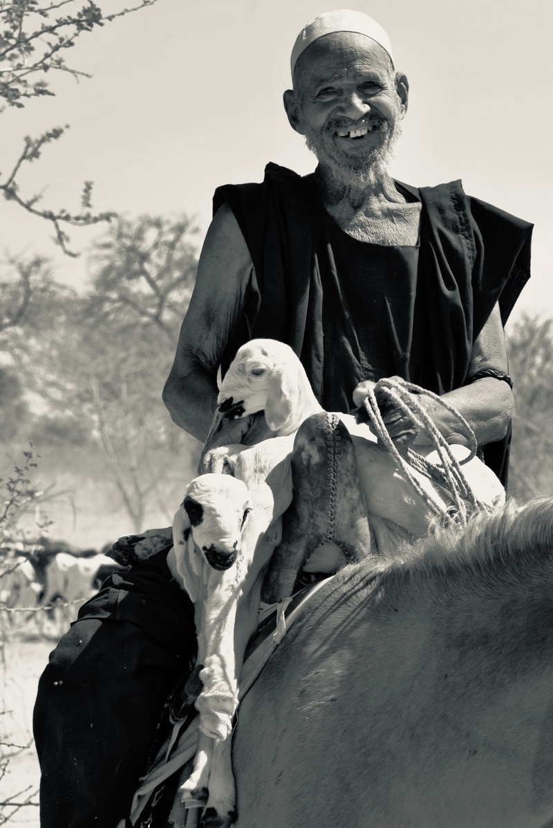 Nomades Arabes on the Move