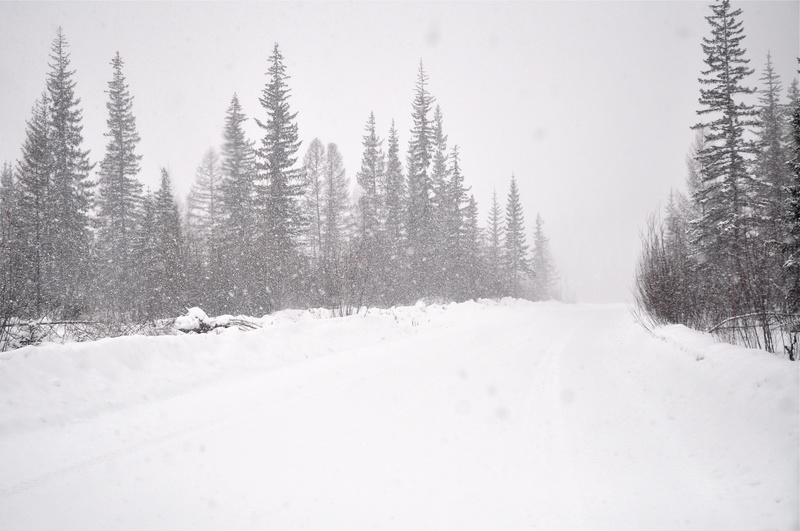 Kolyma Road in Yacutia (Road of Bones)