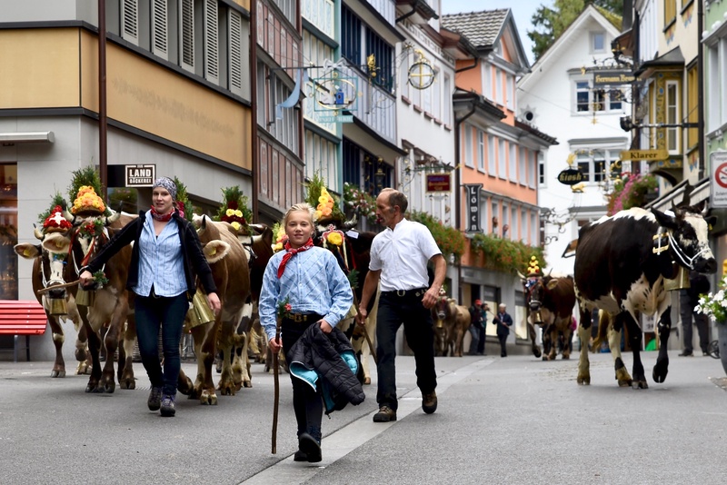 Appenzell: "Viehschau"