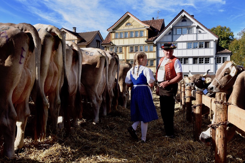 Appenzell: "Viehschau"