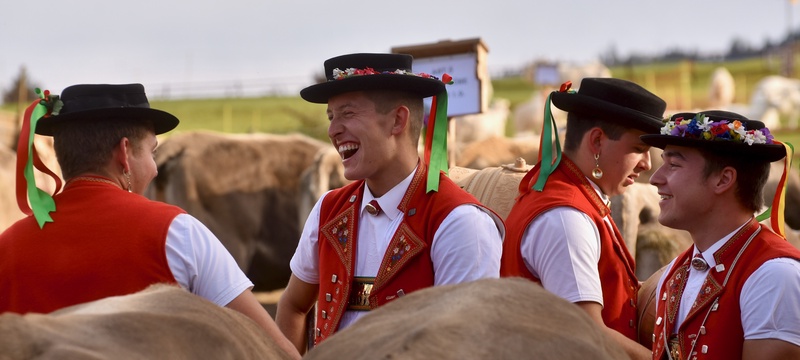 Appenzell: "Viehschau"