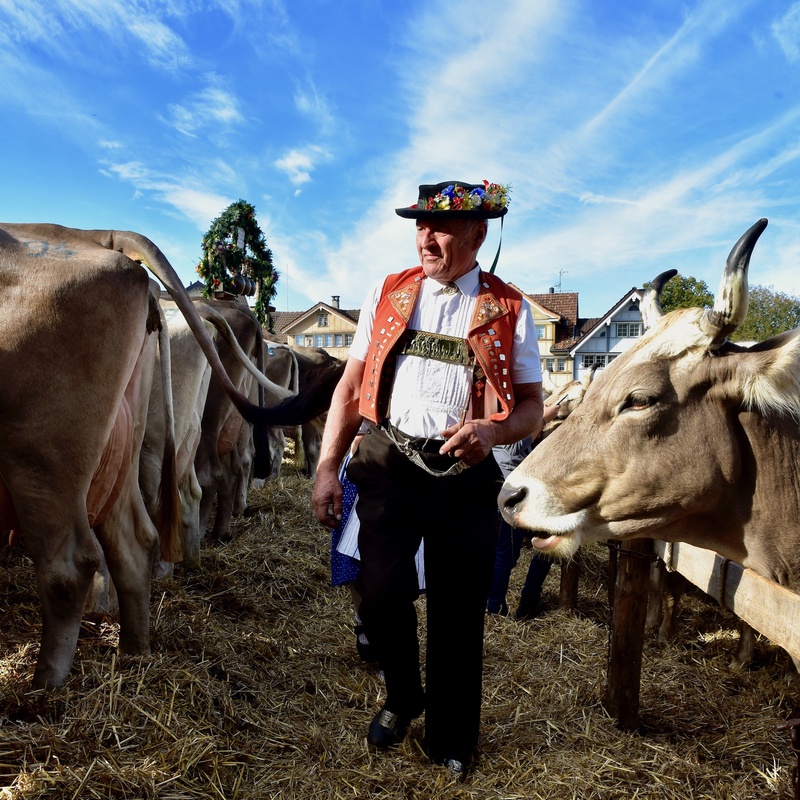Appenzell: "Viehschau"