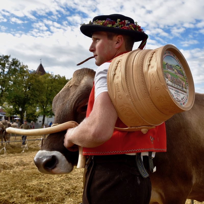 Appenzell: "Viehschau"