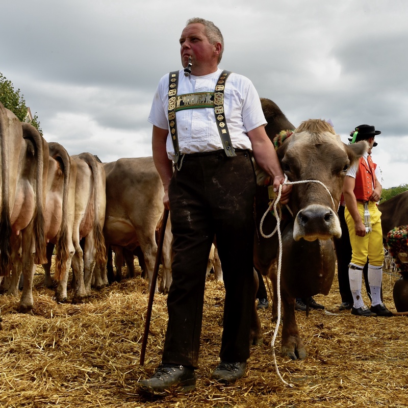Appenzell: "Viehschau"