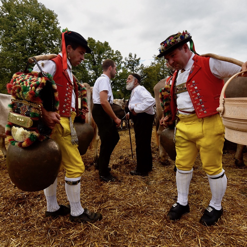 Appenzell: "Viehschau"