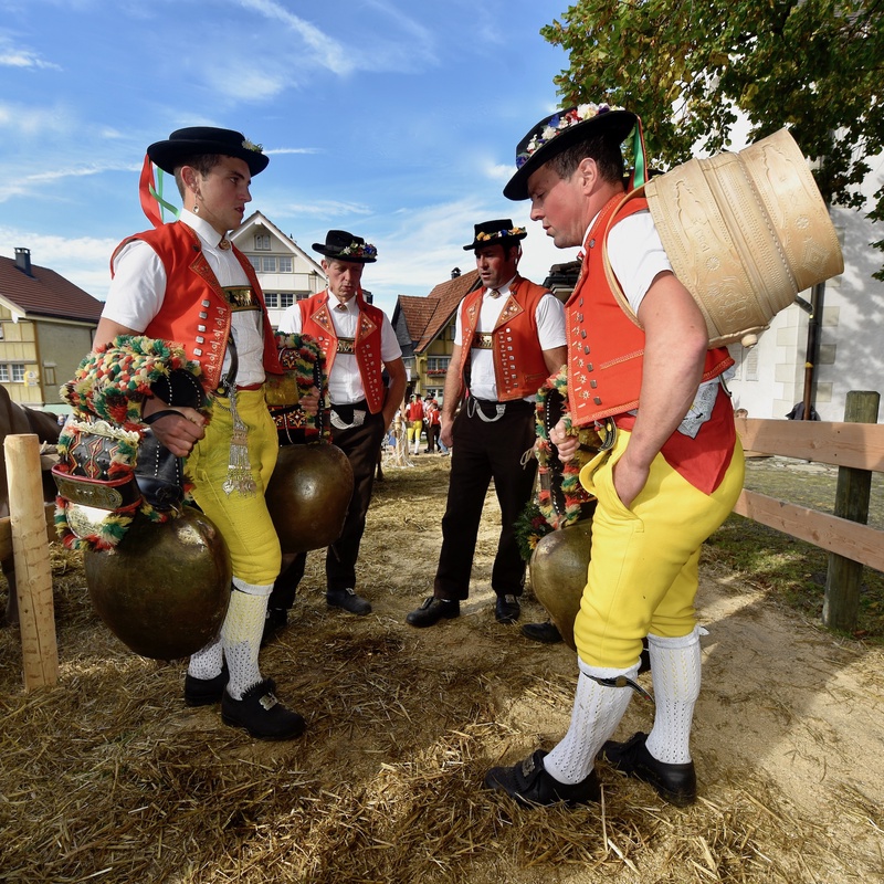 Appenzell: "Viehschau"