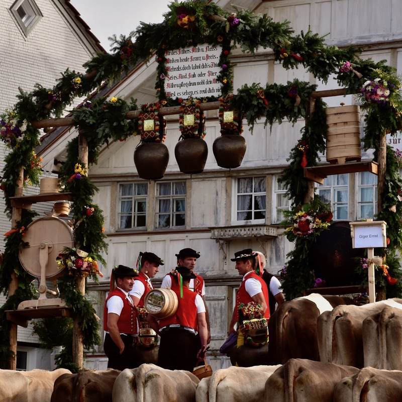 Appenzell: "Viehschau"