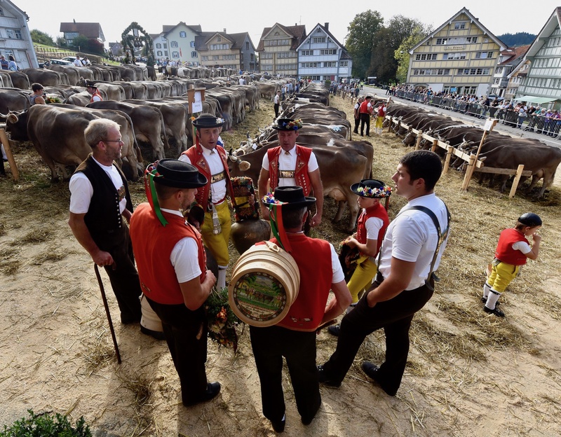 Appenzell: "Viehschau"